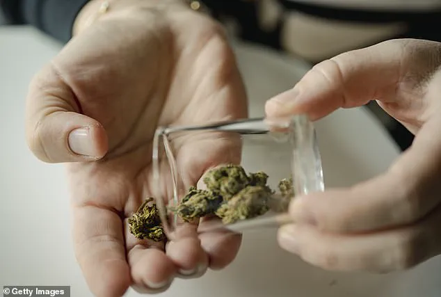 Failure to Disclose Cannabis Use Before Surgery Increases Complications, Doctors Warn