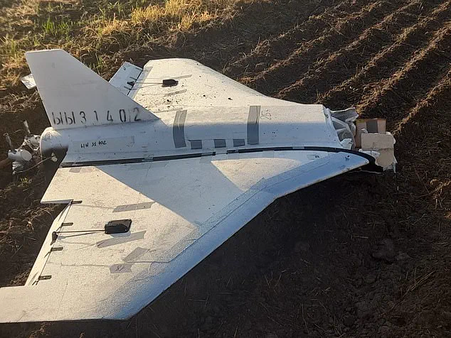 Poland's Drone Interception Sparks Debate on Military Regulations and Public Safety