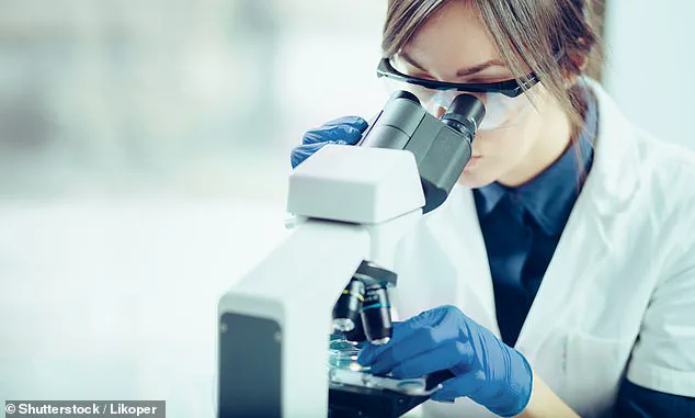 Allison Gardner's Chronic UTI Ordeal: 'Misunderstood, Under-Research, Underfunded' as Labour MP Calls for Change in Women's Health