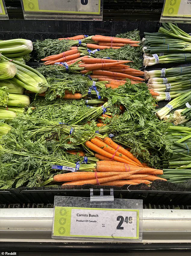 Investigation Reveals Widespread Mislabeling of American Produce as Canadian in Supermarkets