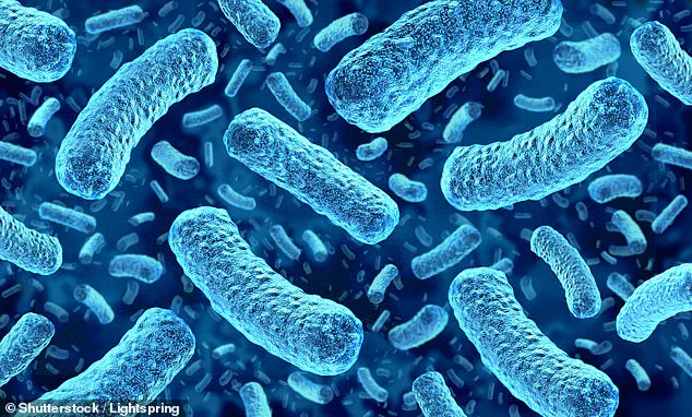 USDA Issues Critical Alert Over Listeria Contamination in HelloFresh Meals, Advising Public Safety Precautions