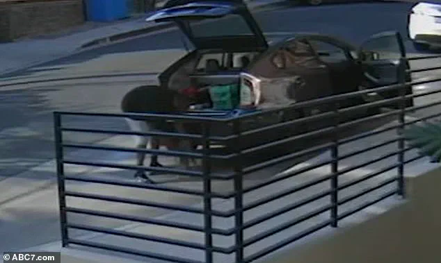 Alleged Theft of Tabby Cat Floki by Food Delivery Driver Captured on Surveillance Video in Los Angeles