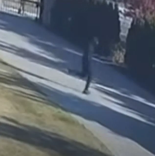 Daylight Shooting of Eddie Jawad Leaves Community Reeling and Authorities in Pursuit of Suspect