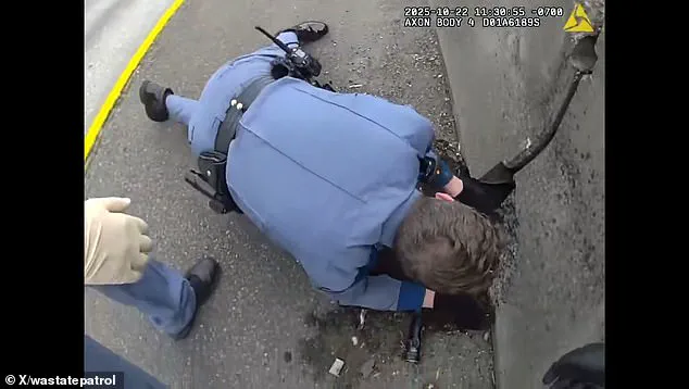Exclusive Body Camera Footage Shows Troopers Rescuing Trembling Kitten from I-5 Barrier