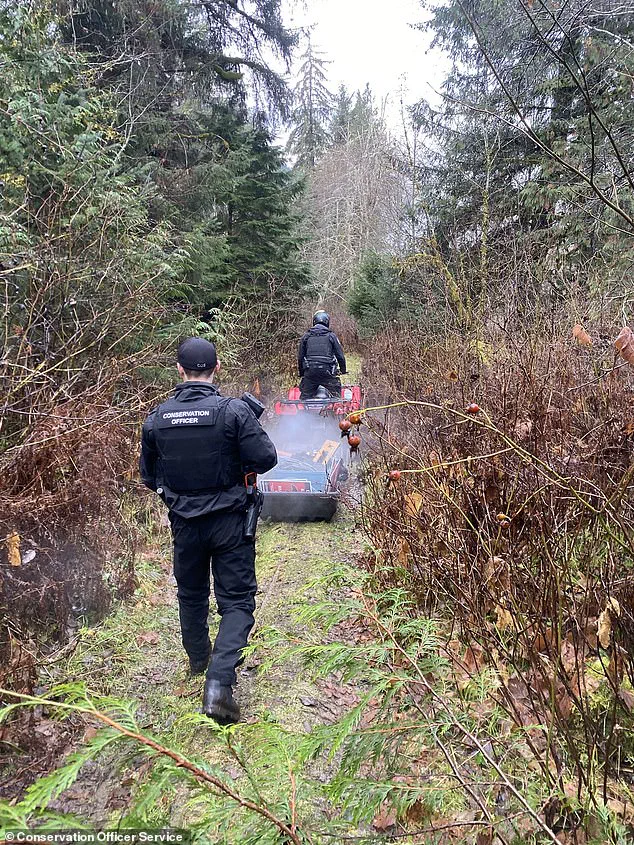 Grizzly Bear Attack Injures 11 at Canadian Elementary School; Search Continues as Community Grapples with Wildlife Safety Concerns