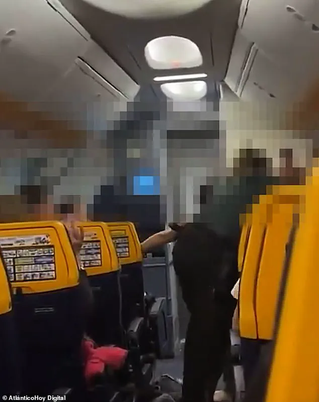 Irish MMA Fighter Arrested After Altercation with Spanish Police on Ryanair Flight