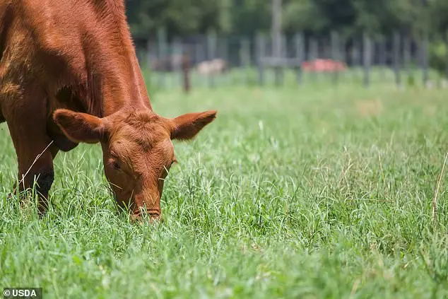 Controversial USDA Rule Redefines 'Product of USA' Label, Sparking Industry Debate