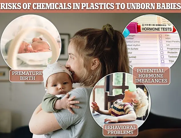 Alarming Findings Reveal High Levels of Phthalates in Popular Fast Food Items, Linked to Serious Health Risks