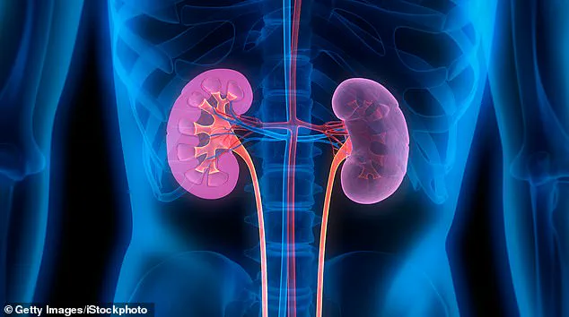 Expert Warnings Highlight Growing Public Health Risk from Undiagnosed Cardiovascular-Kidney-Metabolic Syndrome