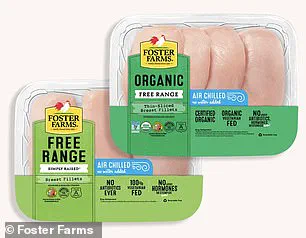 Chlorine Use in Chicken Processing Sparks Regulatory Scrutiny Over Chemical Absorption Risks