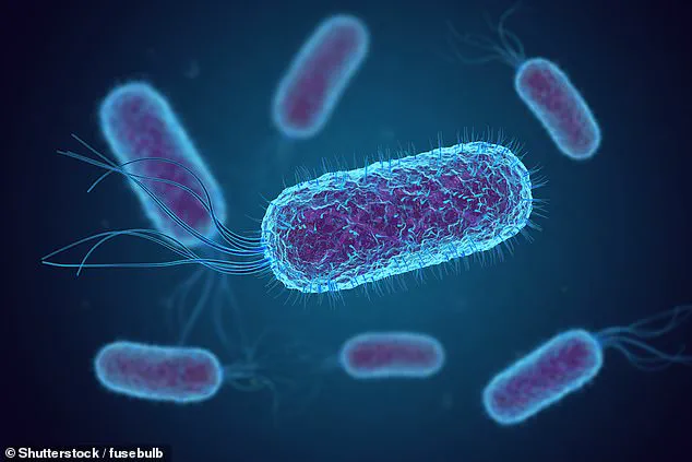 New Study Reveals Alarming Contamination in Drinking Water on Major Airlines, Including E. coli Detection