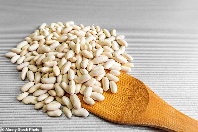 The Health Benefits of Beans: Backed by Science for Heart Health, Disease Prevention, and Weight Loss