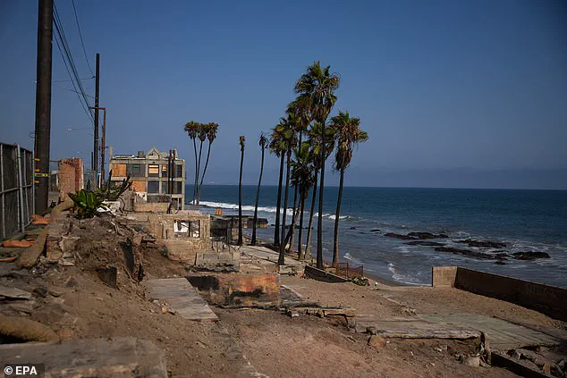Zuru Founders Mowbray Brothers Acquire Malibu Land, Plan Tech-Driven Mega-Mansions After Wildfires