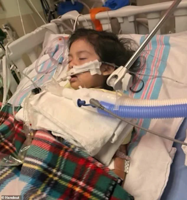 Exclusive CDC Data Reveals Alarming Surge in Hospitalizations as 'Super Flu' H3N2 Subclade K Spikes 53% Weekly