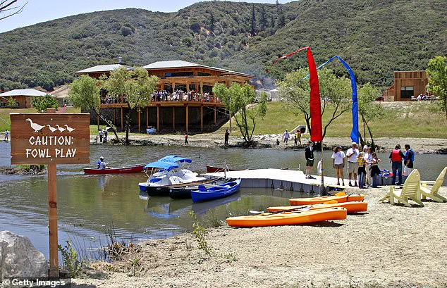 Former Painted Turtle CEO Faces 15 Felony Charges in $5.2M Embezzlement Case
