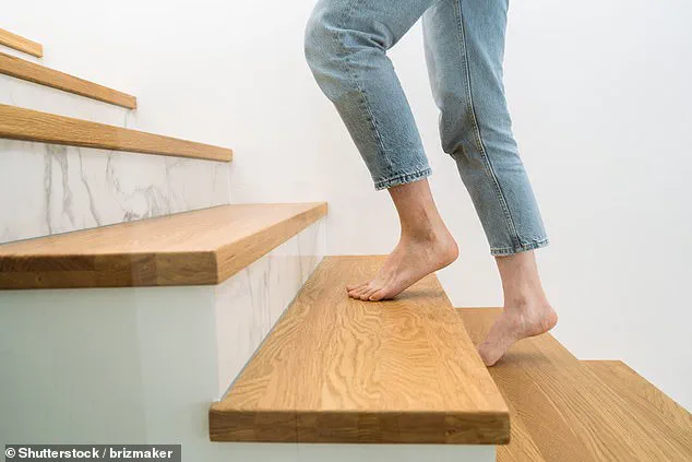 The Lancet Study Reveals Even Small Increases in Physical Activity Can Improve Longevity and Reduce Premature Death Risk