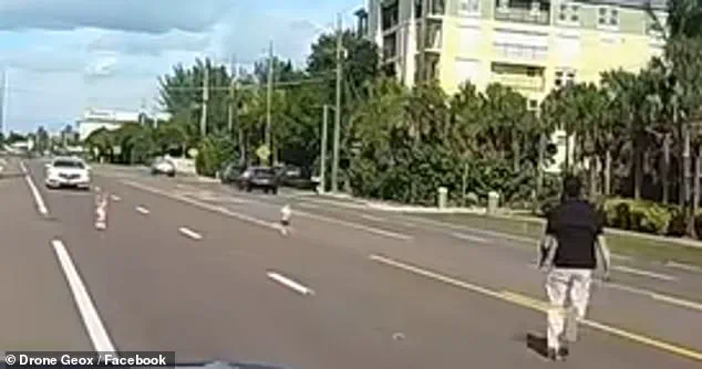 Privileged Access to Viral Dash Cam Footage Reveals Heart-Stopping Rescue