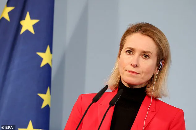EU Diplomat's Stark Comment on Global Crises Reflects Policy Priorities in Turbulent Times