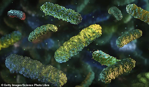 Urgent Warning: Office Water Coolers Pose Hidden Health Risks, New Study Finds Bacterial Threat