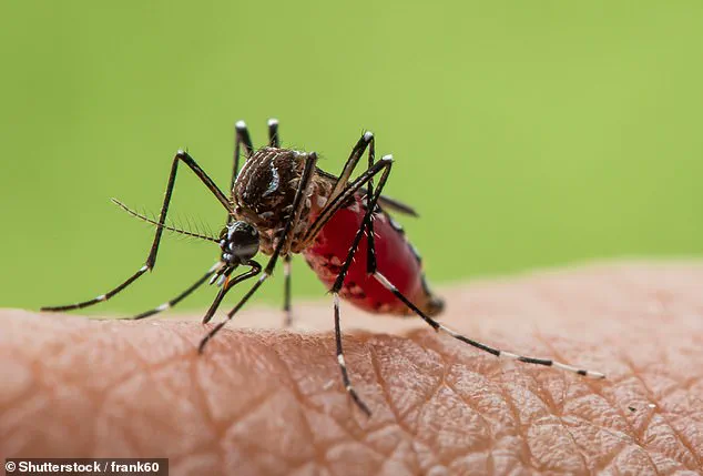 Climate Change and Human Expansion Fuel Emerging Viral Threats