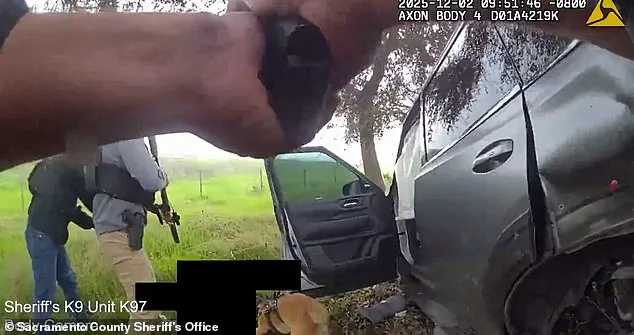 Father's Tragic Act Leads to Fatal Police Confrontation in Elk Grove