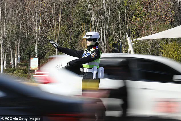 China's Robocops: Government Tech Adoption and Privacy Implications