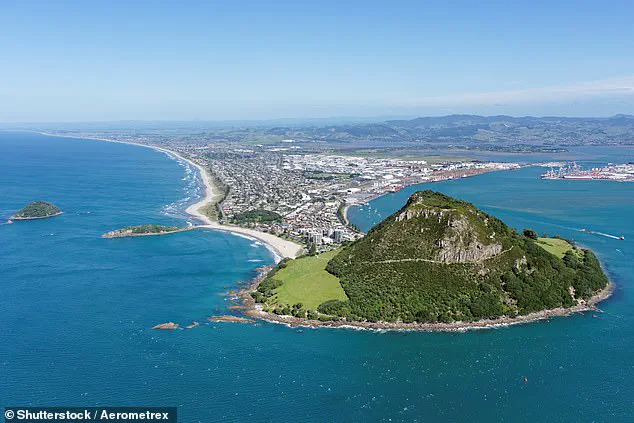 Heroic Landslide Warning Saves Lives as Woman Buried in New Zealand Disaster