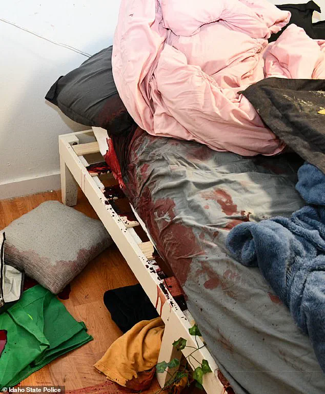 Previously Unseen Idaho Murder Crime Scene Photos Reignite Transparency Debate, Swiftly Taken Down
