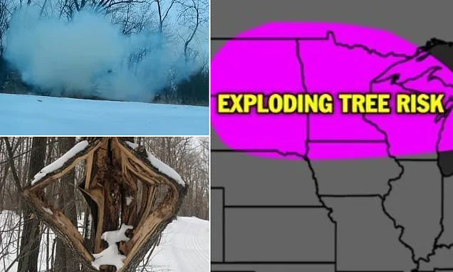 Historic Winter Storm: 230 Million Americans Brace for Imminent Ice and Snow Crisis