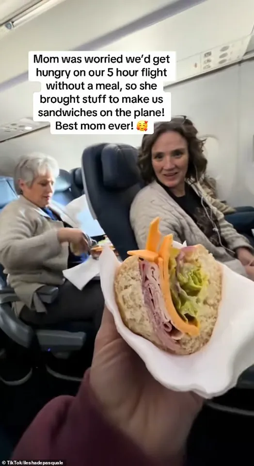 Passenger Turns Airplane Seat into Deli, Sparking Social Media Reaction