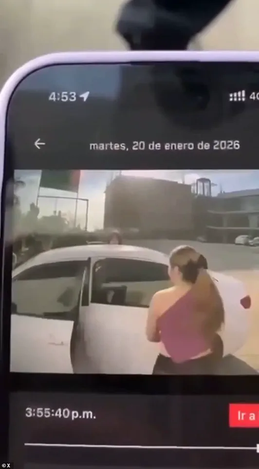 Privileged Access to the Abduction: Exclusive Footage Reveals the Harrowing Ordeal of Nicole Pardo Molina