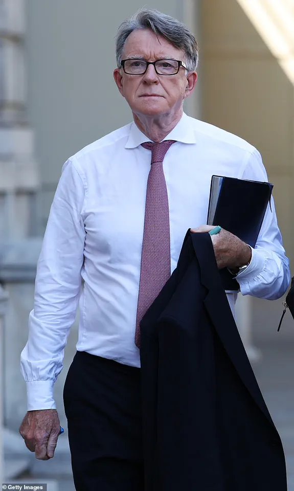 Photograph of UK’s Former Ambassador to the US in Underpants at Jeffrey Epstein’s Mansion Emerges in Epstein Files