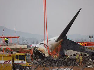 Pilot's Quick Thinking Avoids Bird Collision During Takeoff at Farnborough Airport