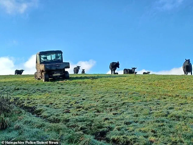 Dog Walker Climbs Tree to Escape Angry Cow, Firefighters Called to Isle of Wight Scene