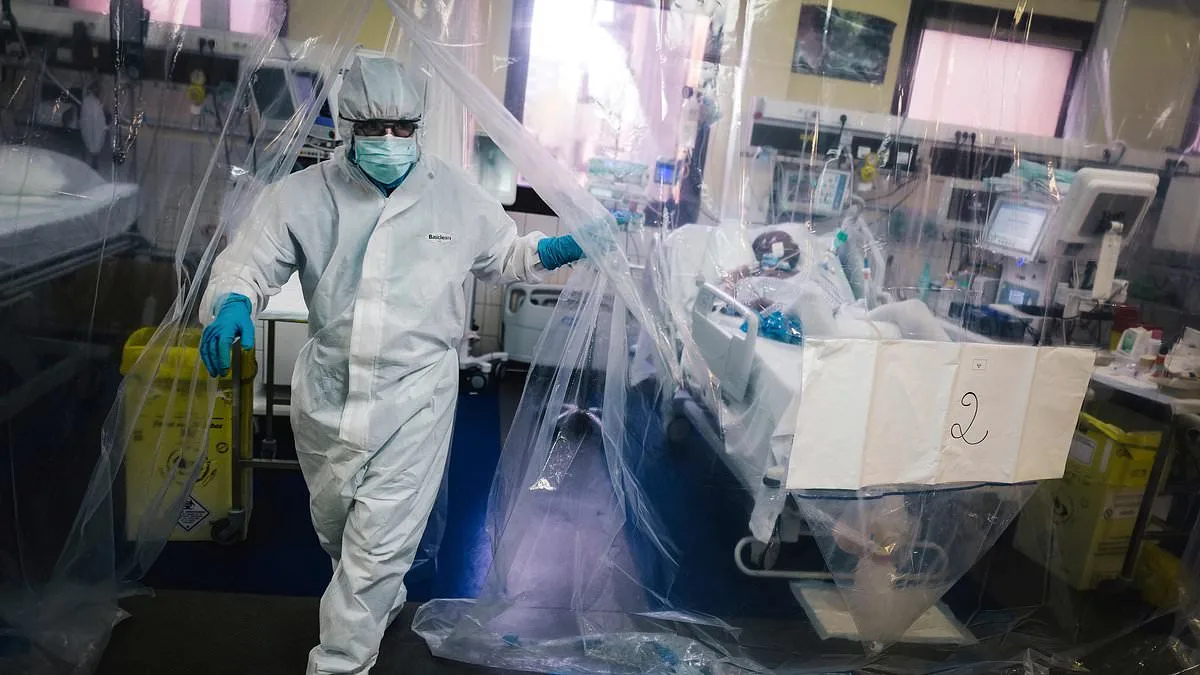 Scientists Warn: Influenza D and Canine Coronavirus Could Trigger Next Pandemic