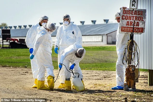 Scientists Warn: Influenza D and Canine Coronavirus Could Trigger Next Pandemic