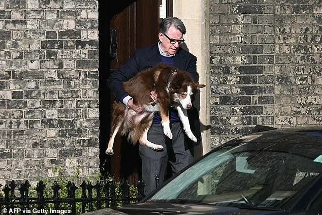 Lord Mandelson and the Epstein Scandal: Unraveling the Web of Influence and Corruption