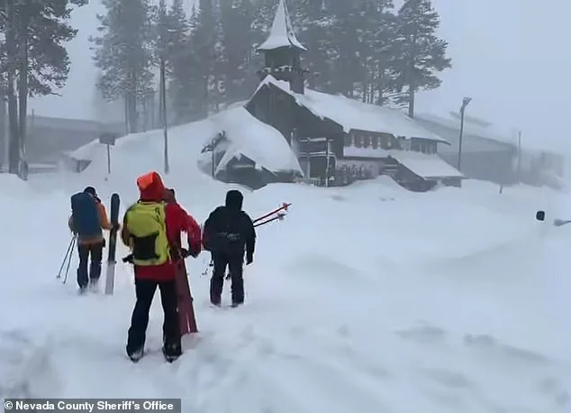 Parents' Private Ski Excursion and the Castle Peak Avalanche: A Tragedy of Ambition and Nature