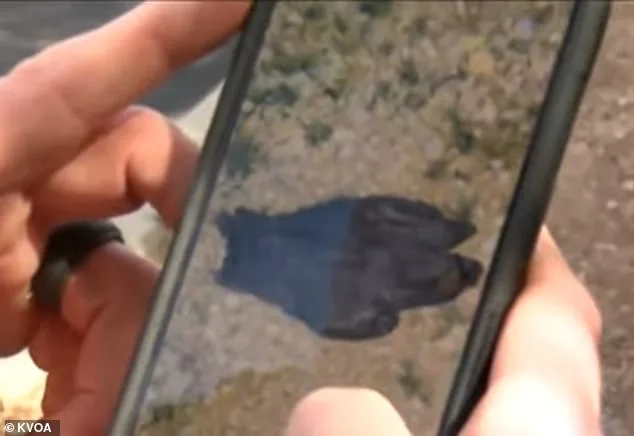FBI Footage Reveals New Details About Masked Suspect in Nancy Guthrie Abduction Case