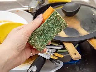 The Hidden Dangers of Stacking Cookware: Expert Warns of Long-Term Damage to Non-Stick Pans