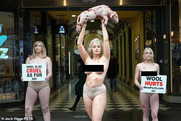 Oxford English Dictionary Under Fire: PETA Pushes to Redefine 'Wool' to Include Plant-Based Alternatives