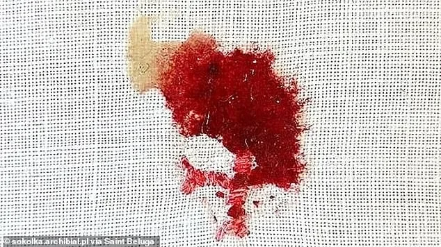 Centuries-Old Eucharist Mysteries Reignite Faith-Science Debate