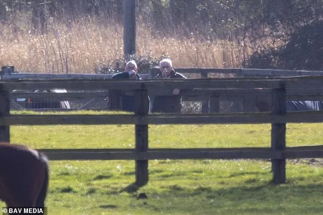 Former Duke of York Defies Riding Ban with Horse Inspection Amid Royal Aides' Restrictions
