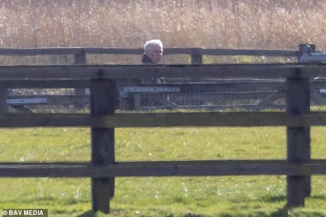 Former Duke of York Defies Riding Ban with Horse Inspection Amid Royal Aides' Restrictions