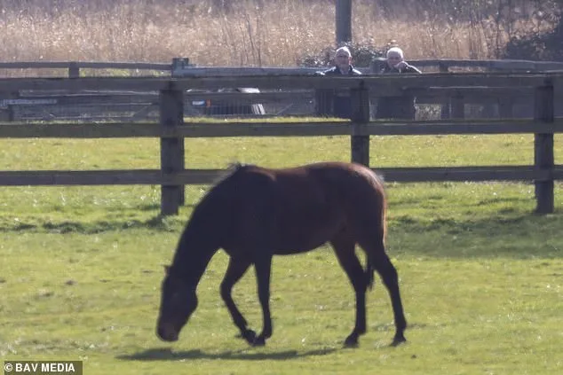 Former Duke of York Defies Riding Ban with Horse Inspection Amid Royal Aides' Restrictions
