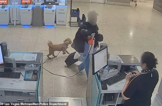 Bench Warrant Issued for Las Vegas Woman Who Abandoned Dog at JetBlue Airport