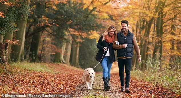Walk Faster, Live Longer: UK Study Reveals Walking Speed Outperforms Traditional Health Metrics in Predicting Lifespan
