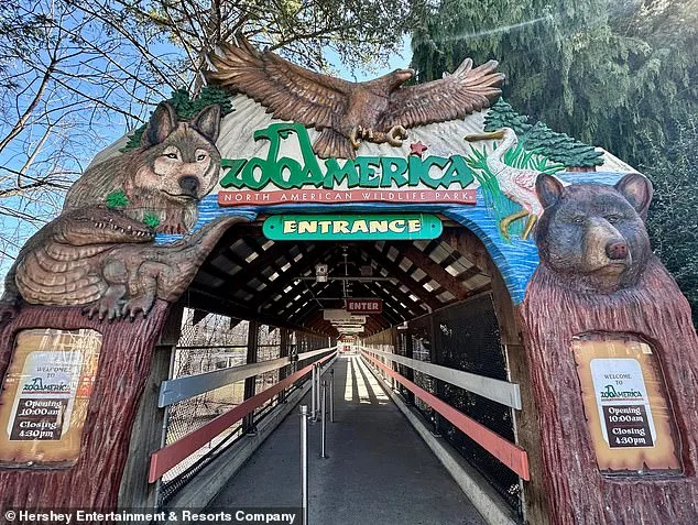 Toddler Injured by Wolf at Pennsylvania Zoo as Parents Were Distracted by Cellphones