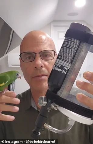 White-Winged Parakeet Bebe's Underwater Adventure in Custom-Built 'Bebesphere' Captures Global Attention