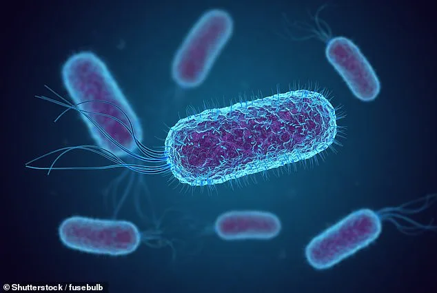 CDC Warns of Rising Drug-Resistant Shigellosis Strain: XDR